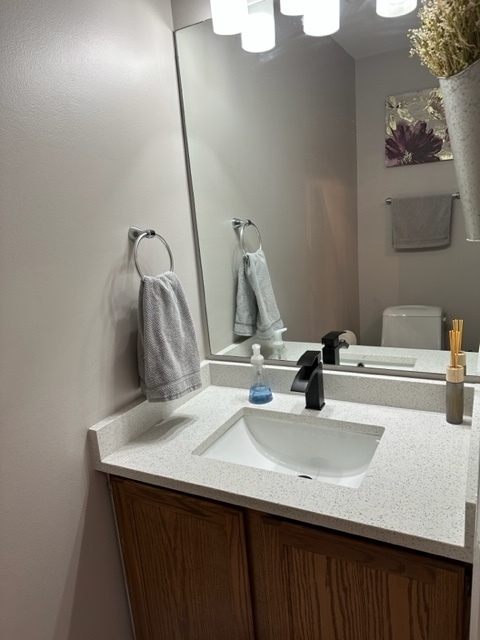 1929 Stillwater Road Arlington Heights, IL 60004 - Photo 7 of 29 a bathroom with a sink and a mirror