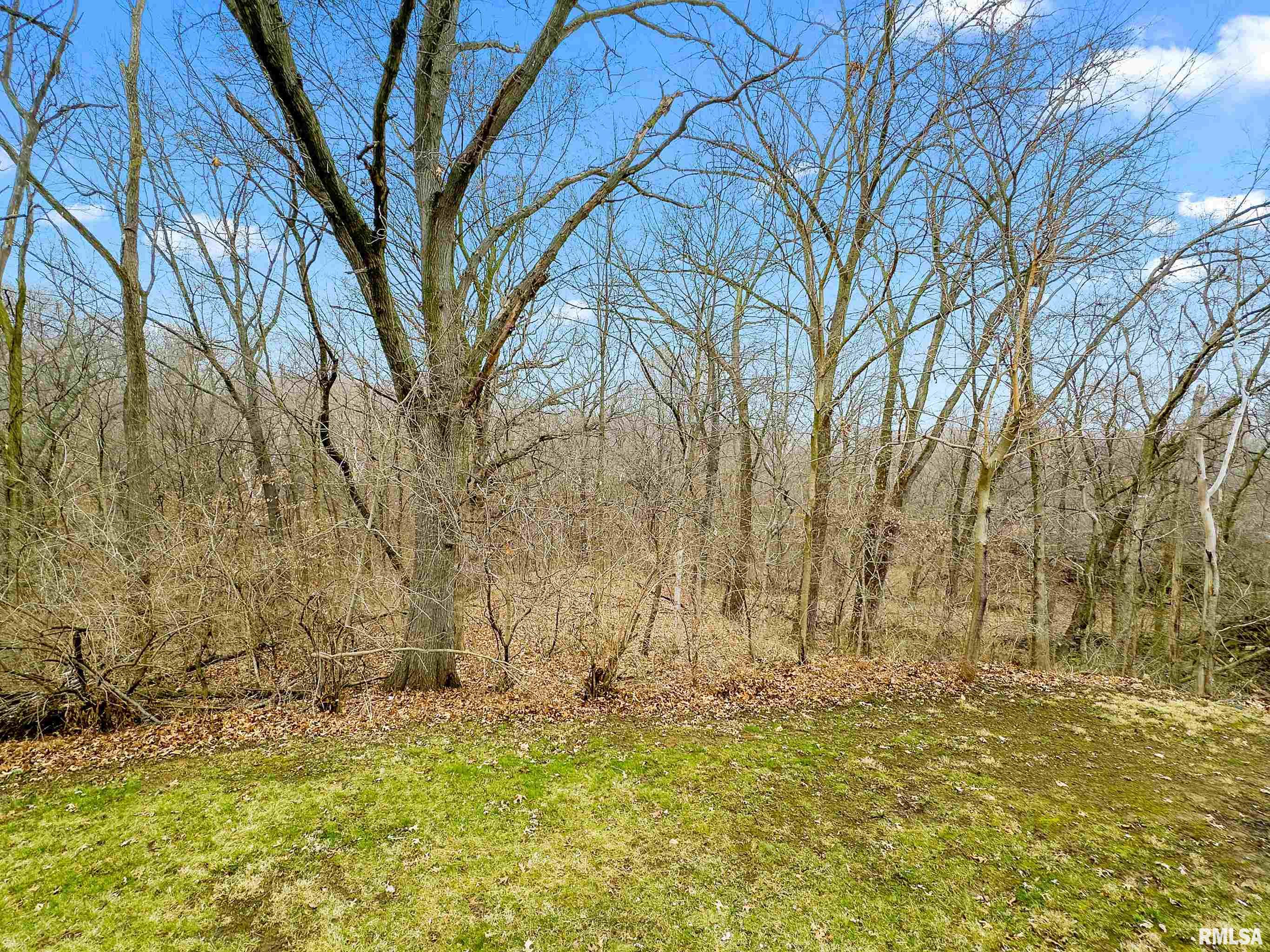 7007 West Lancaster Road Bartonville, IL 61607 - Photo 6 of 36