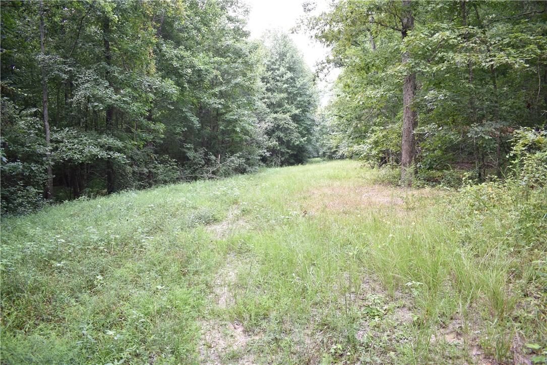 Lot 8-9 Fox Trail Anderson, SC 29621 - Photo 5 of 13 Gallery Image 5