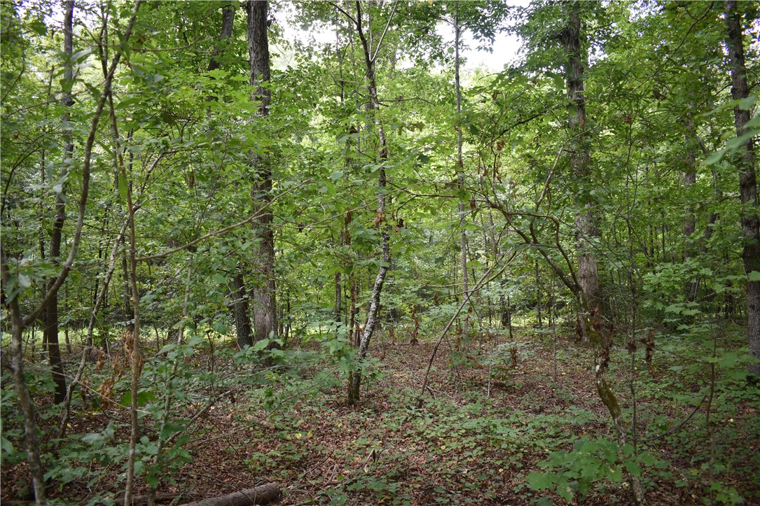 Lot 8-9 Fox Trail Anderson, SC 29621 - Photo 6 of 13 Gallery Image 6