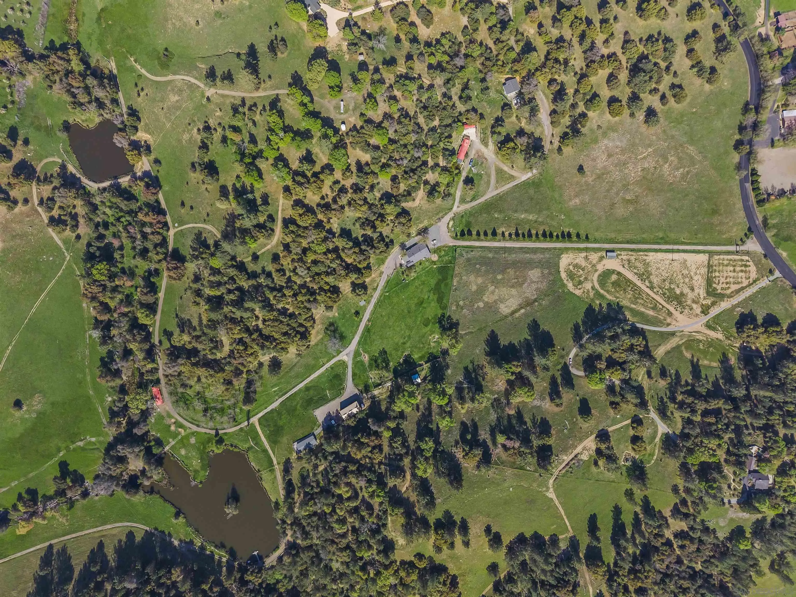 2464 Wynola Road Julian, CA 92036 - Photo 41 of 50 view of a garden