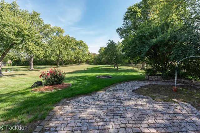 a view of a park with large trees