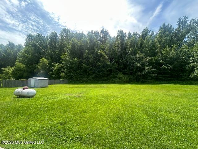 170 Dry Field Road Byhalia, MS 38611 - Photo 24 of 25 DF30