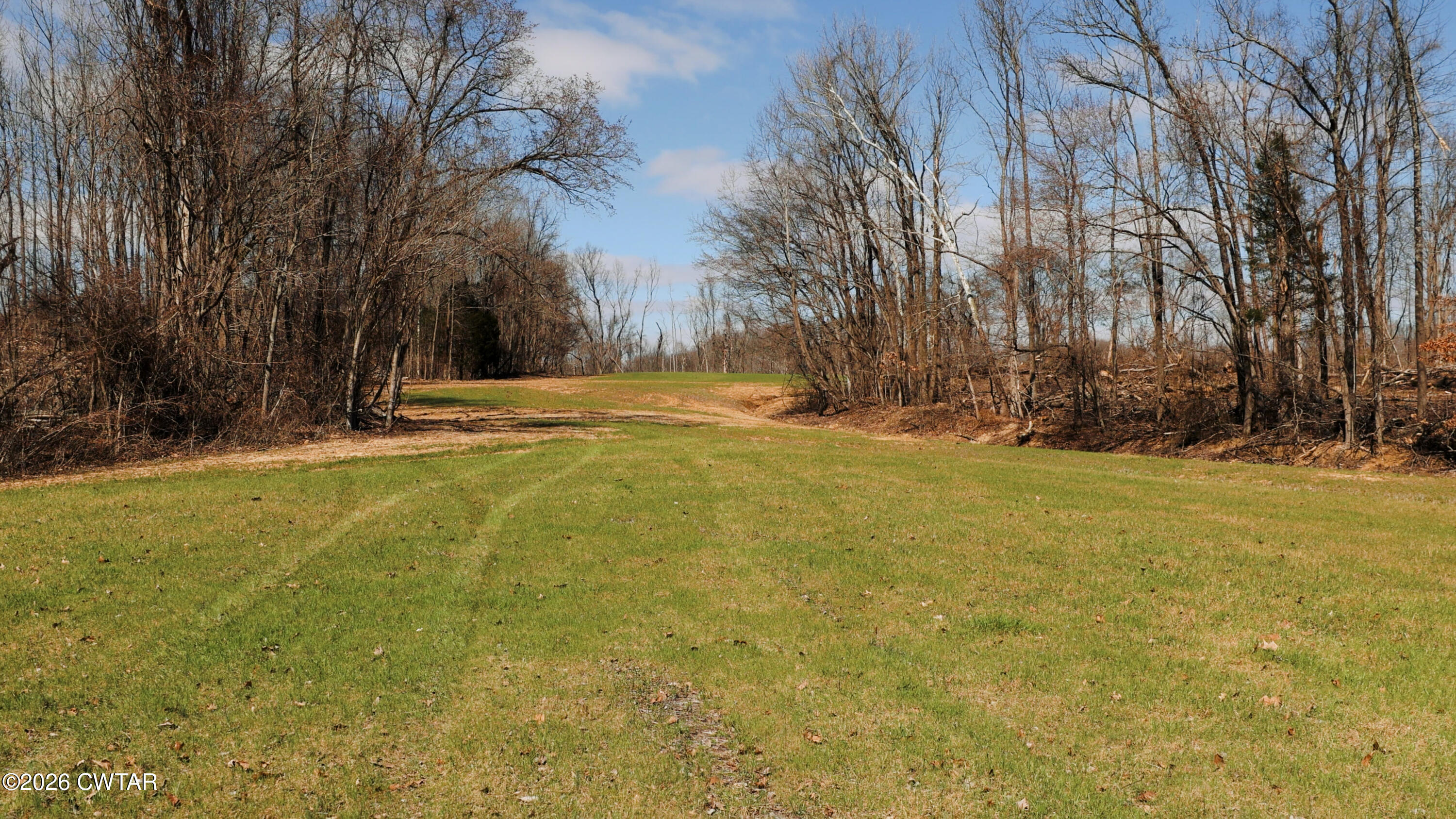 0 Girl Scout Road Drummonds, TN 38023 - Photo 12 of 21 a view of yard with swimming pool and trees
