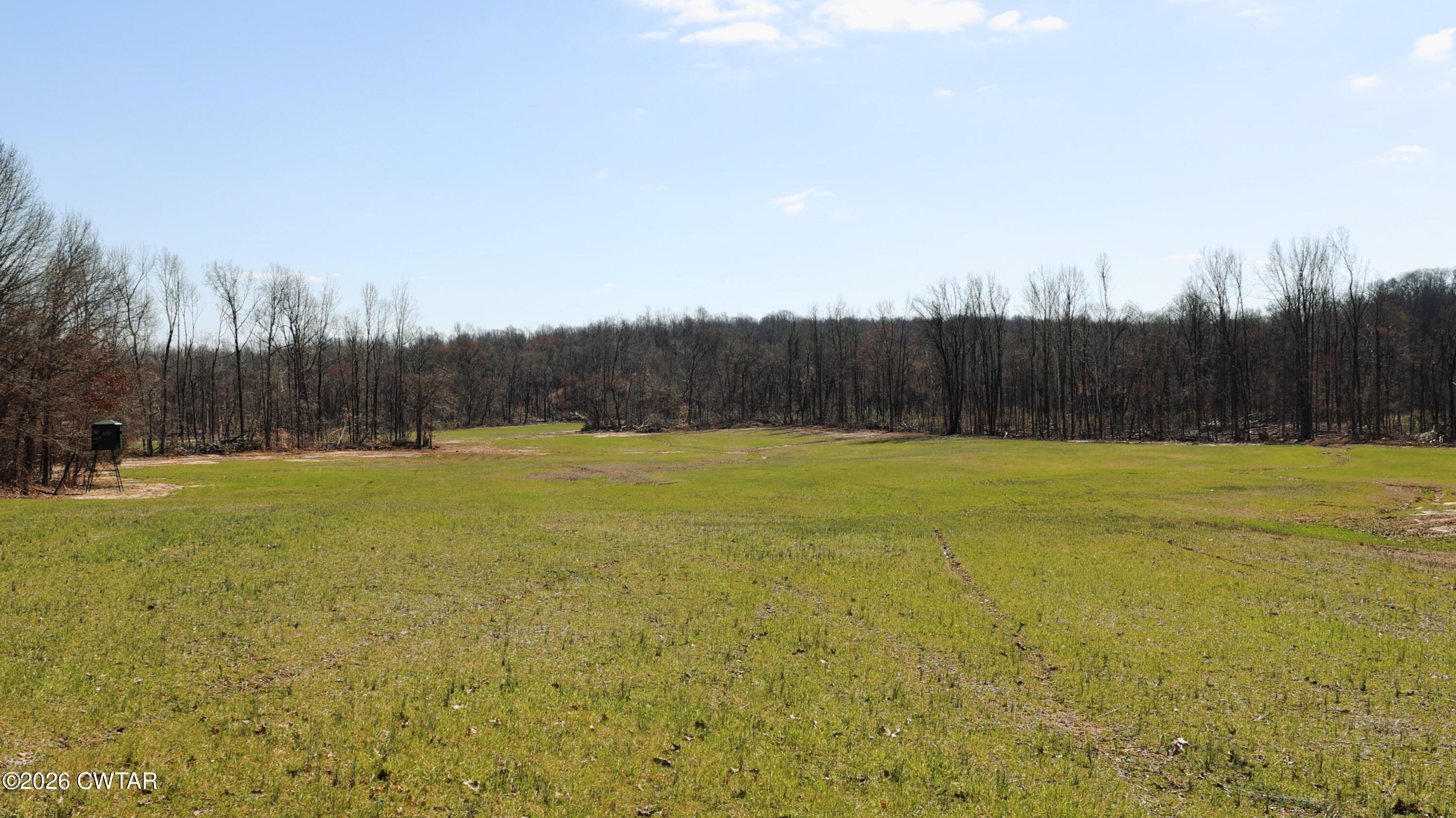 0 Girl Scout Road Drummonds, TN 38023 - Photo 13 of 21 a view of a field with trees in the background