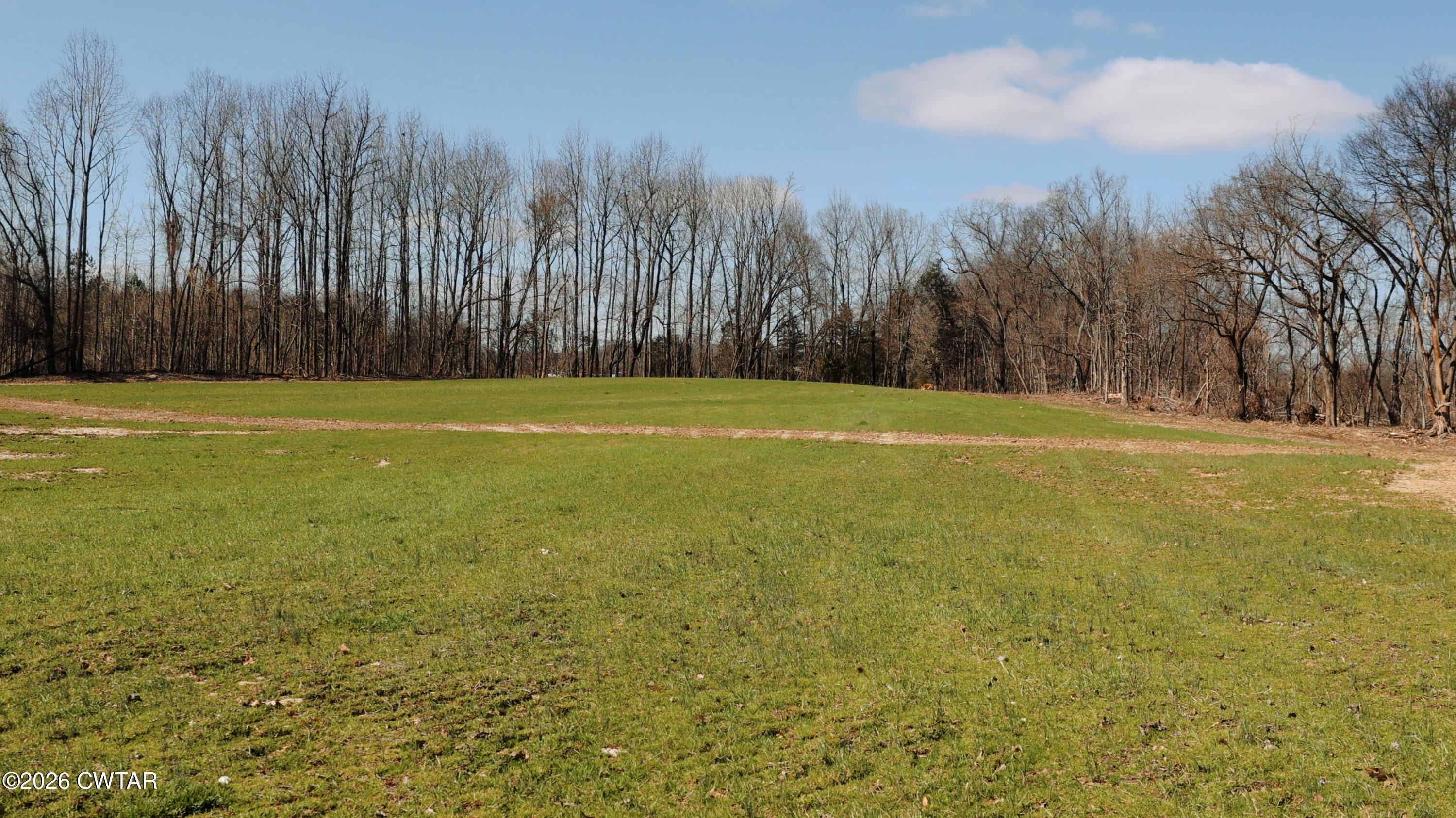 0 Girl Scout Road Drummonds, TN 38023 - Photo 15 of 21 a view of a yard with large trees and wooden fence