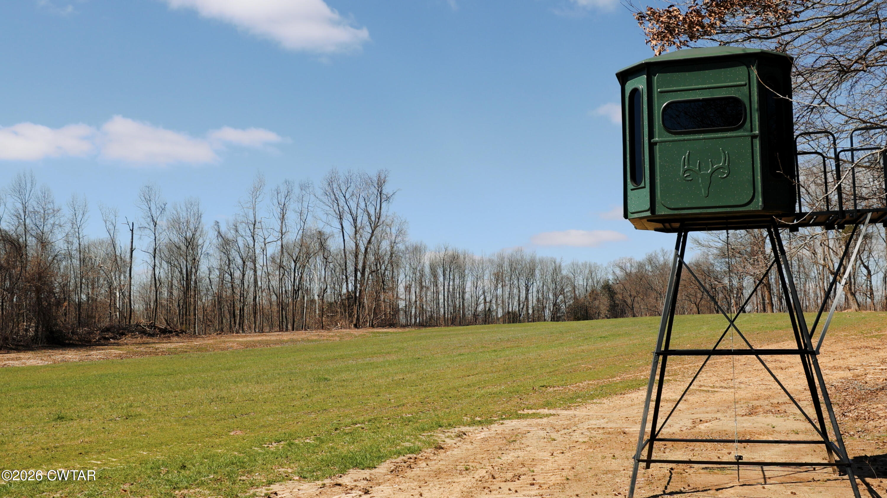 0 Girl Scout Road Drummonds, TN 38023 - Photo 18 of 21 a view of swimming pool from a yard