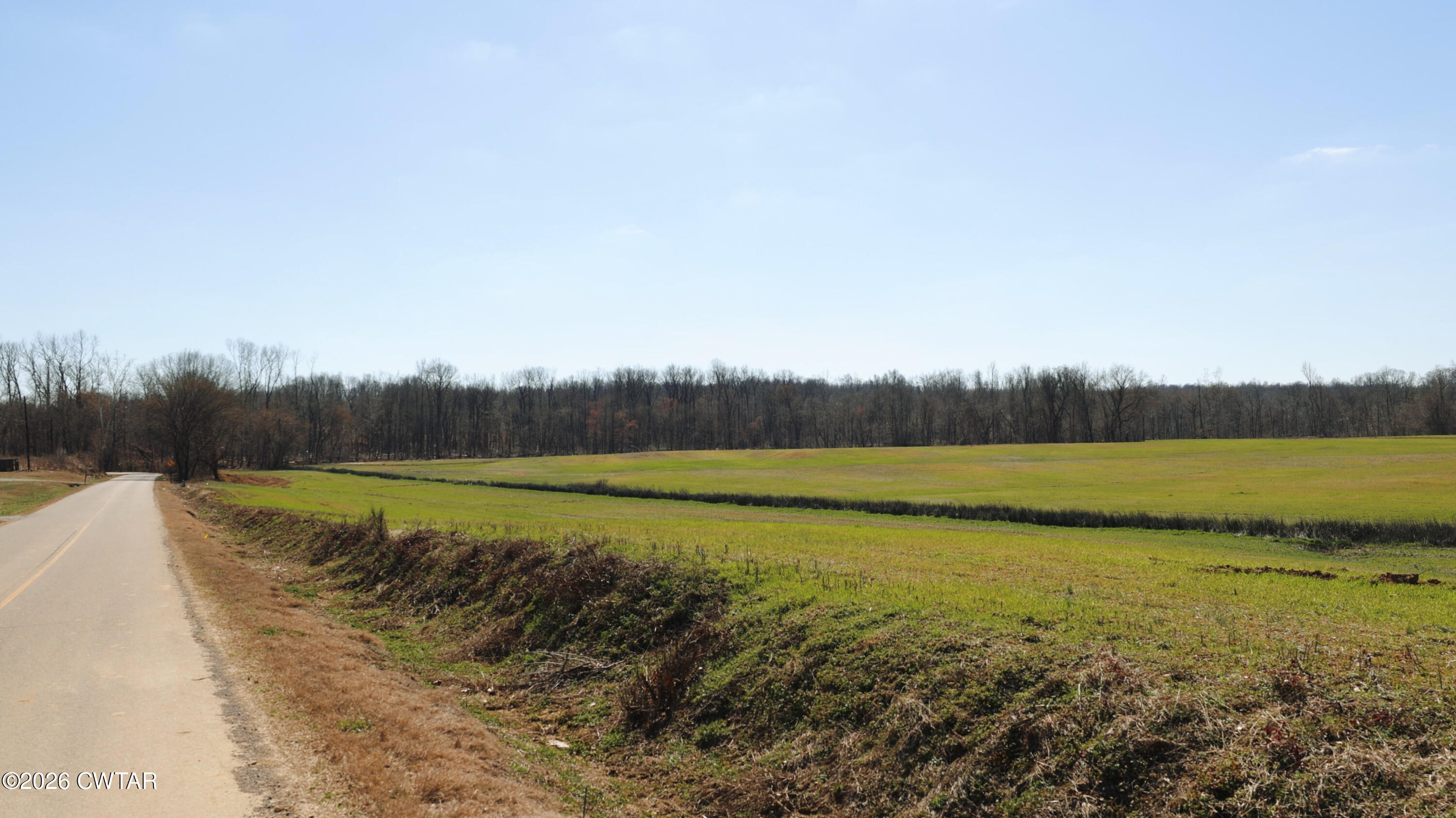 0 Girl Scout Road Drummonds, TN 38023 - Photo 19 of 21 a view of a lake view and a forest