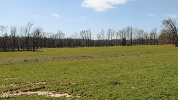 a view of a field with an trees in the background