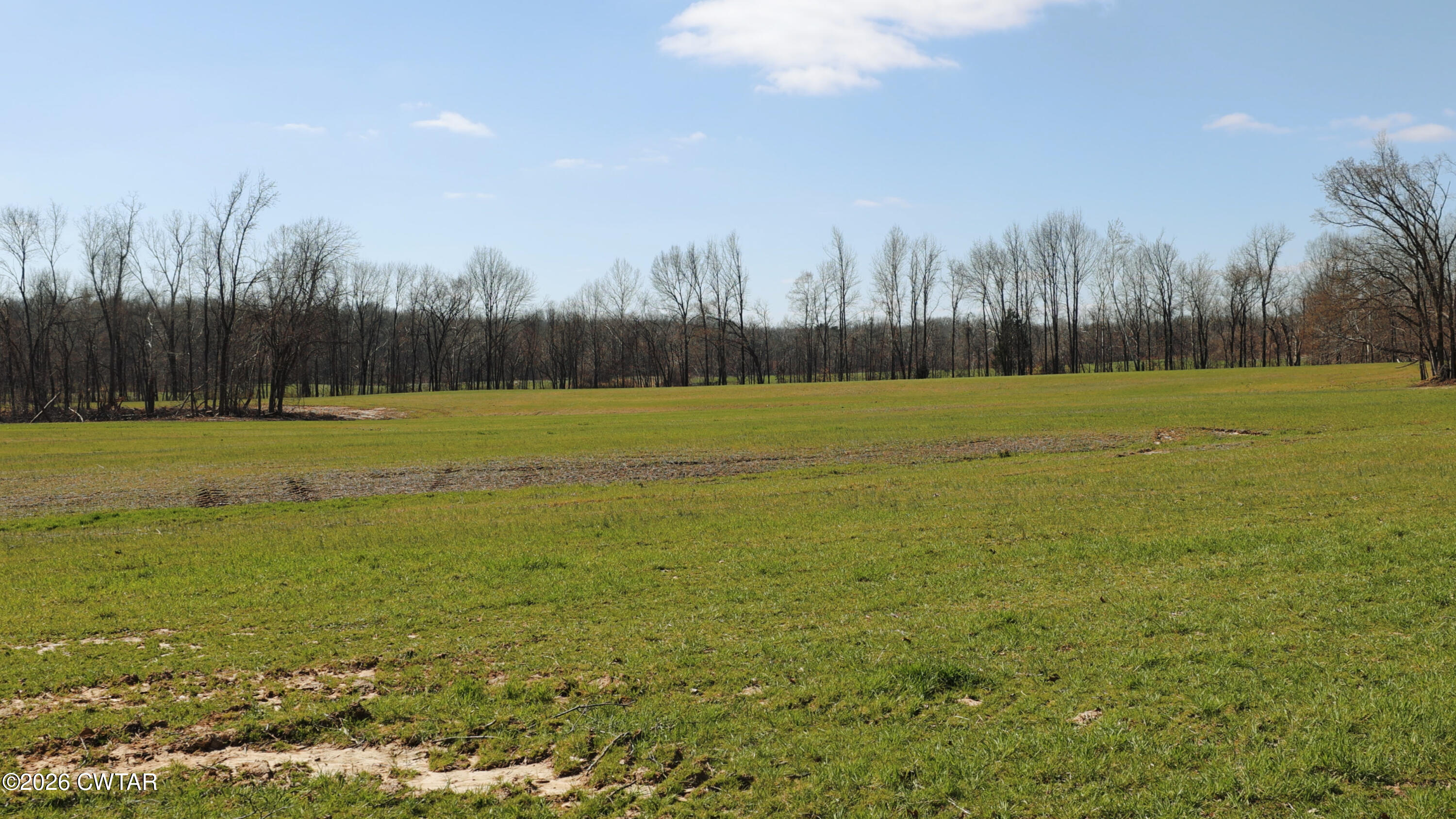 0 Girl Scout Road Drummonds, TN 38023 - Photo 20 of 21 a view of a field with an trees in the background
