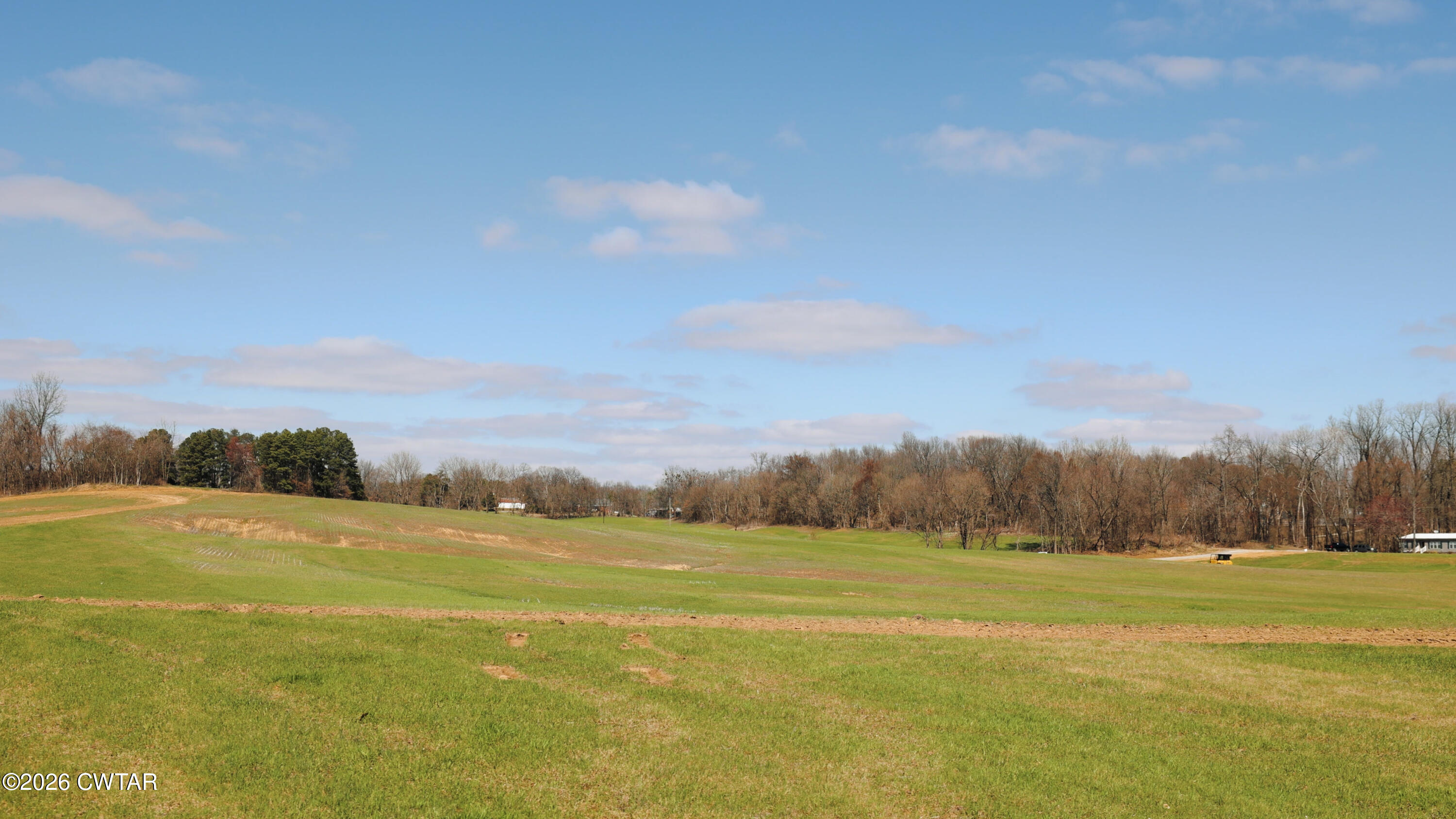 0 Girl Scout Road Drummonds, TN 38023 - Photo 5 of 21 a view of an outdoor space and a yard