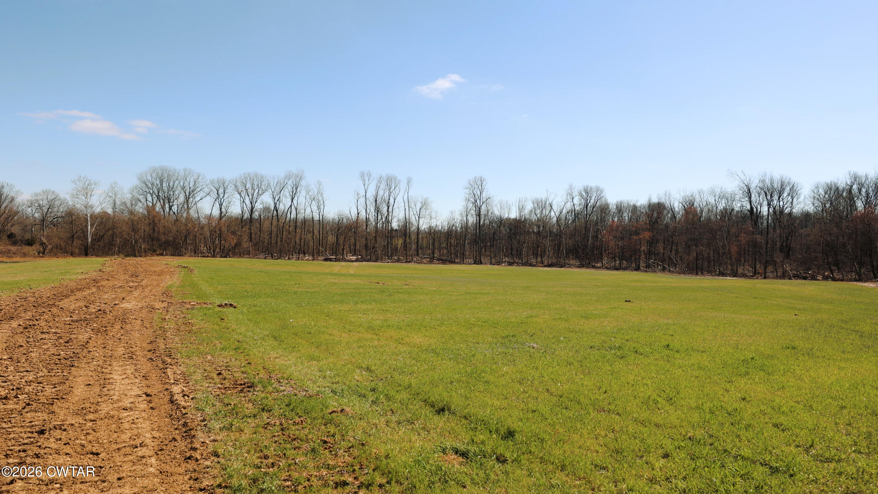 0 Girl Scout Road Drummonds, TN 38023 - Photo 9 of 21 a view of a yard