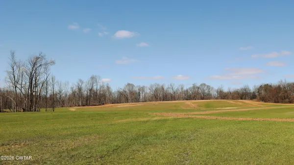 a view of field with trees in the background