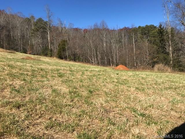 Tbd Pennsylvania Road, Unit 2 Mills River, NC 28759 - Photo 4 of 9 Gallery Image 4