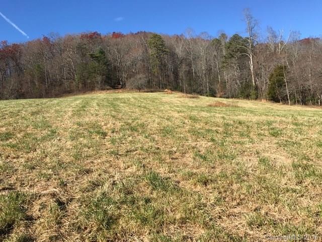 Tbd Pennsylvania Road, Unit 2 Mills River, NC 28759 - Photo 5 of 9 Gallery Image 5