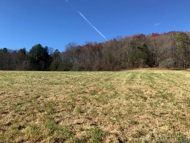 Tbd Pennsylvania Road, Unit 2 Mills River, NC 28759 - Photo 6 of 9 Gallery Image 6