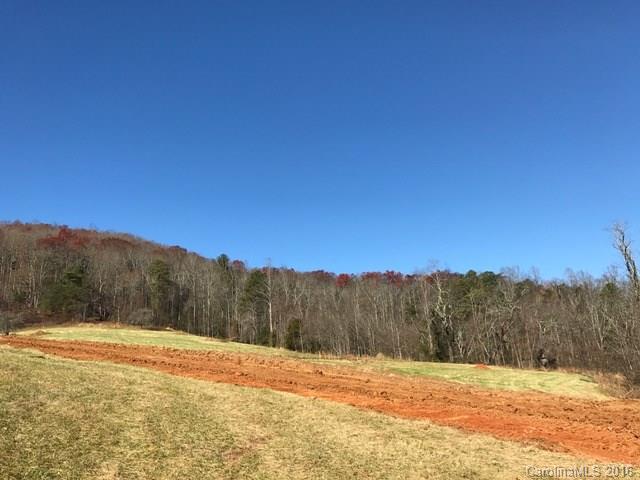 Tbd Pennsylvania Road, Unit 2 Mills River, NC 28759 - Photo 7 of 9 Gallery Image 7