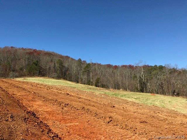 Tbd Pennsylvania Road, Unit 2 Mills River, NC 28759 - Photo 8 of 9 Gallery Image 8