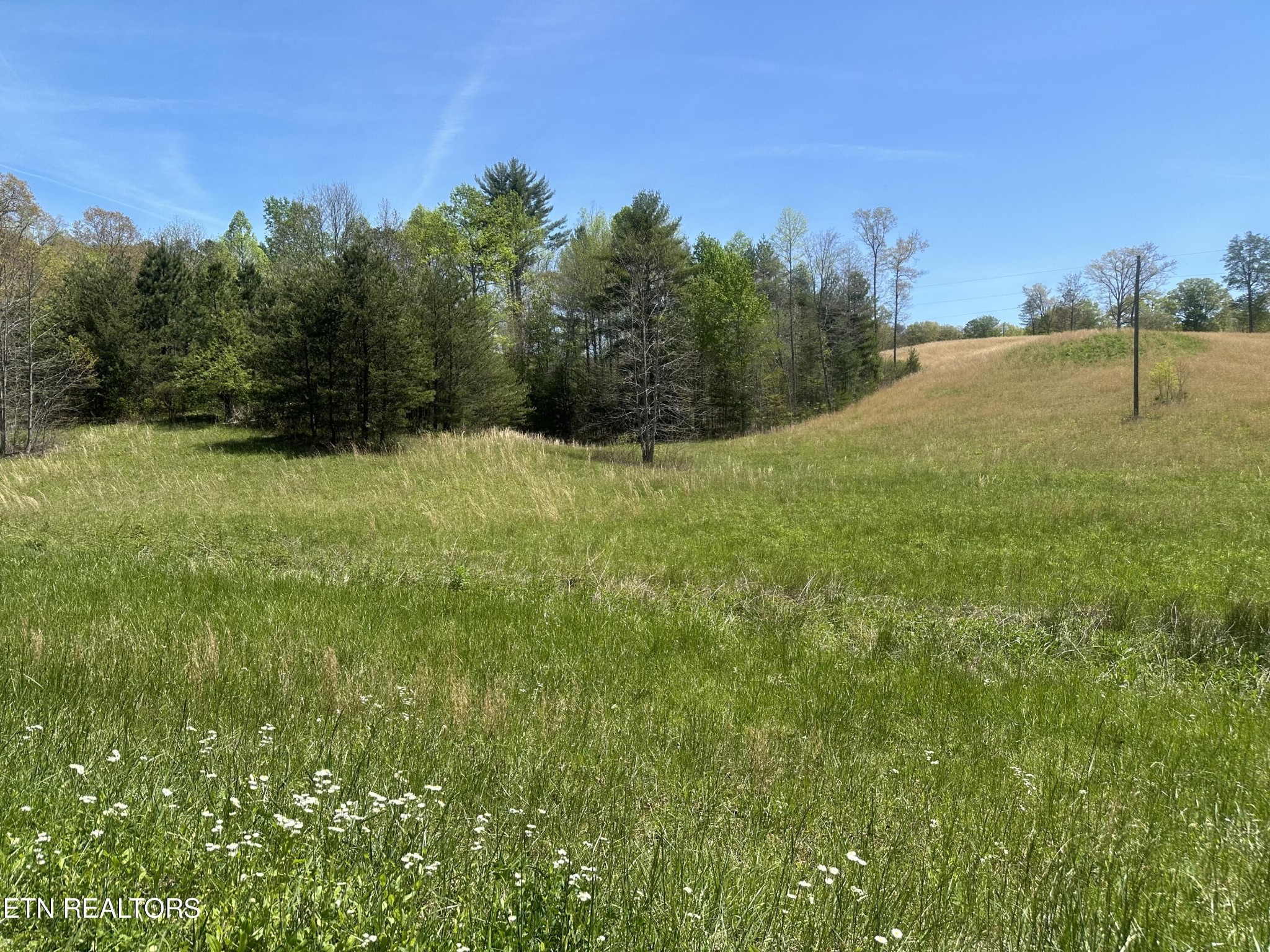 0 Epperson Road Tellico Plains, TN 37385 - Photo 2 of 7 Gallery Image 2