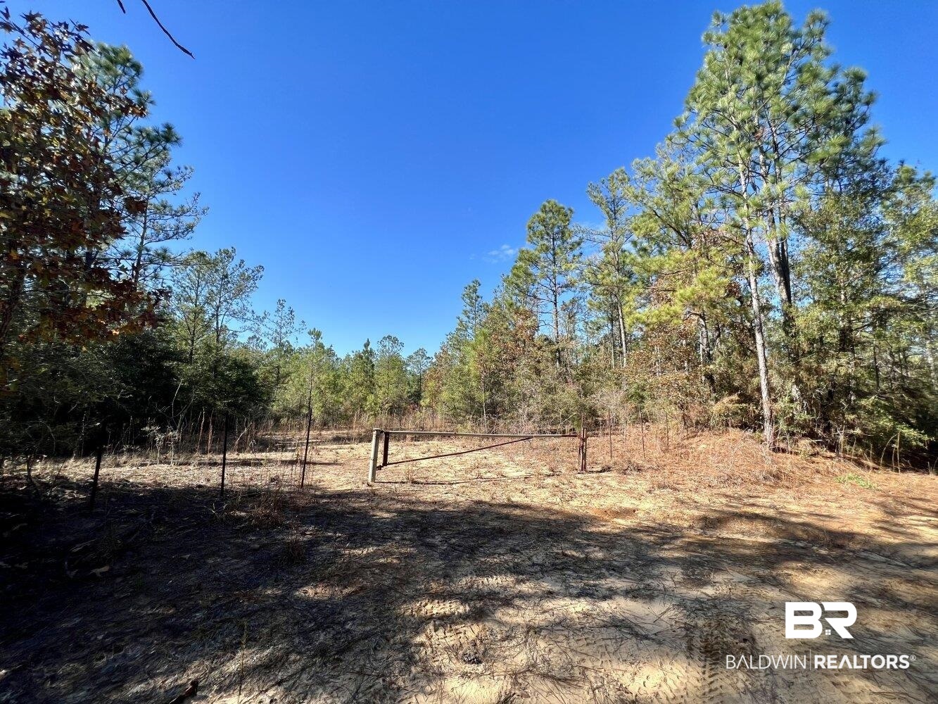 0 C C Road Chunchula, AL 36521 - Photo 2 of 27