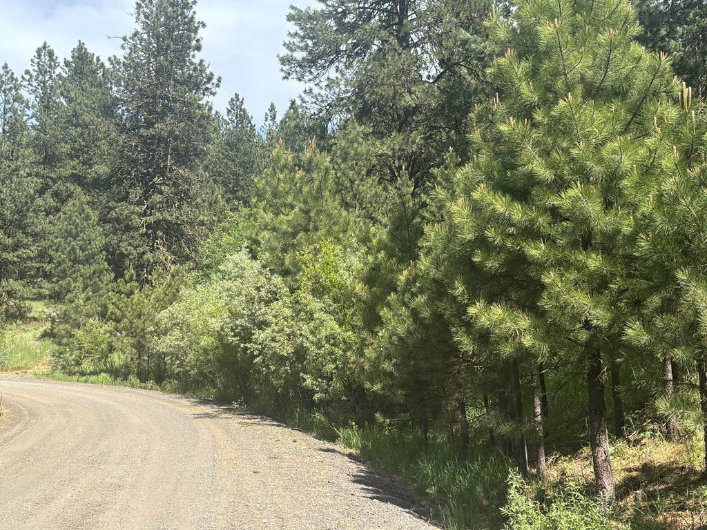L16-b1 Lantern Way, Unit 16 Cascade, ID 83611 - Photo 6 of 39 Lantern Way