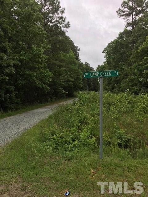 0 Isham Chambers Road, Unit CAMP CREEK LANE Rougemont, NC 27572 - Photo 2 of 8
