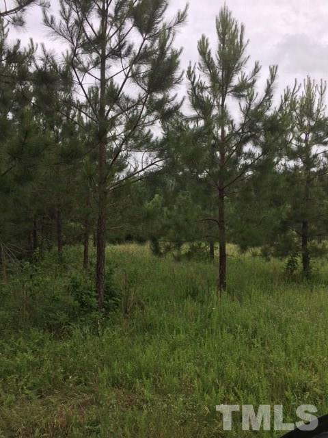 0 Isham Chambers Road, Unit CAMP CREEK LANE Rougemont, NC 27572 - Photo 5 of 8