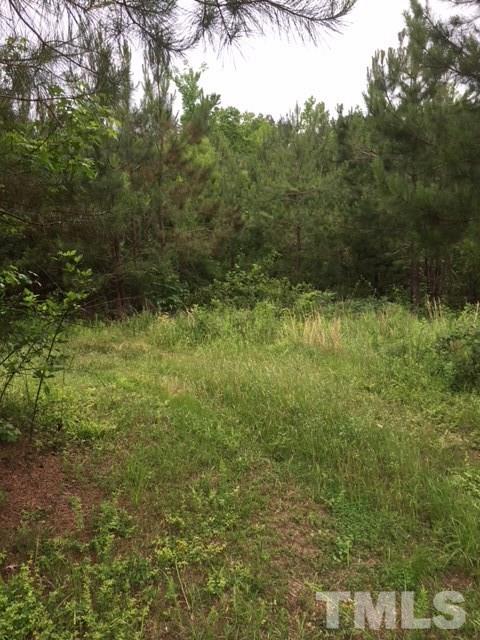 0 Isham Chambers Road, Unit CAMP CREEK LANE Rougemont, NC 27572 - Photo 6 of 8