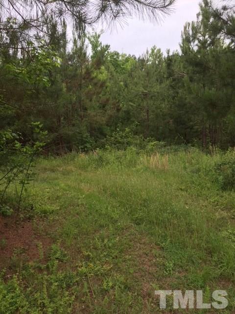 0 Isham Chambers Road, Unit CAMP CREEK LANE Rougemont, NC 27572 - Photo 7 of 8