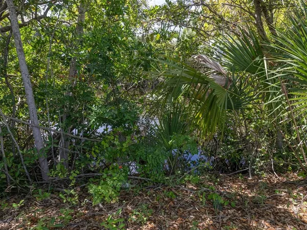 a view of a garden
