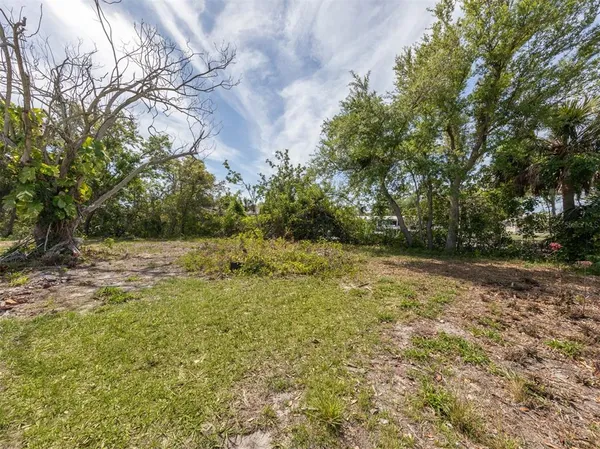 a view of backyard with outdoor space