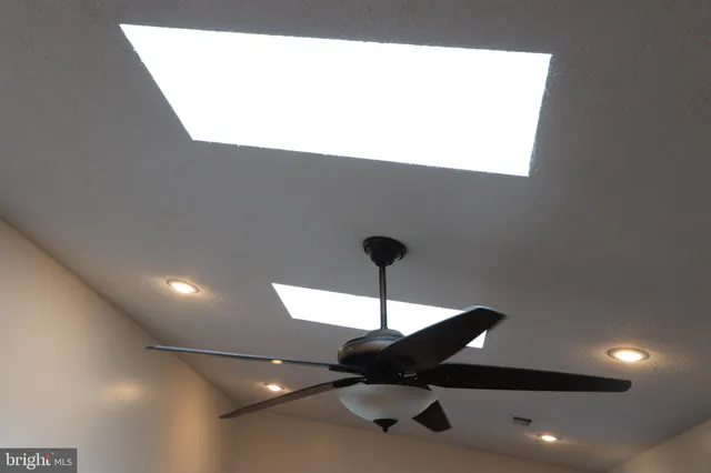 a view of a backyard with table and chairs potted plants and large tree