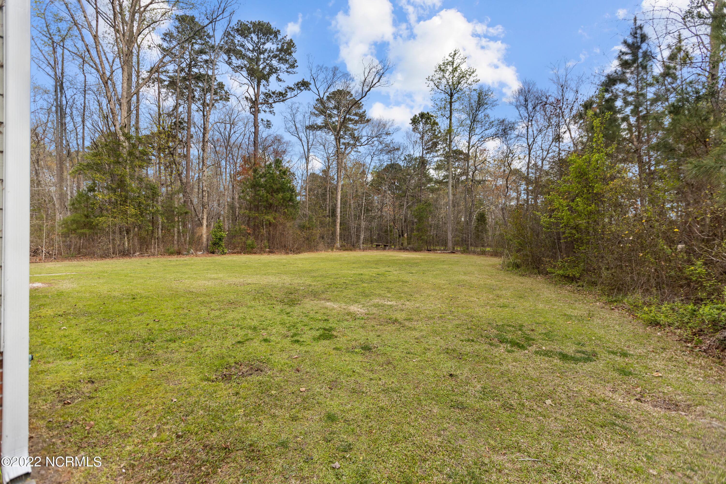 24 Teach's Cove Road Bath, NC 27808 - Photo 36 of 41 36-print-IMGL2316