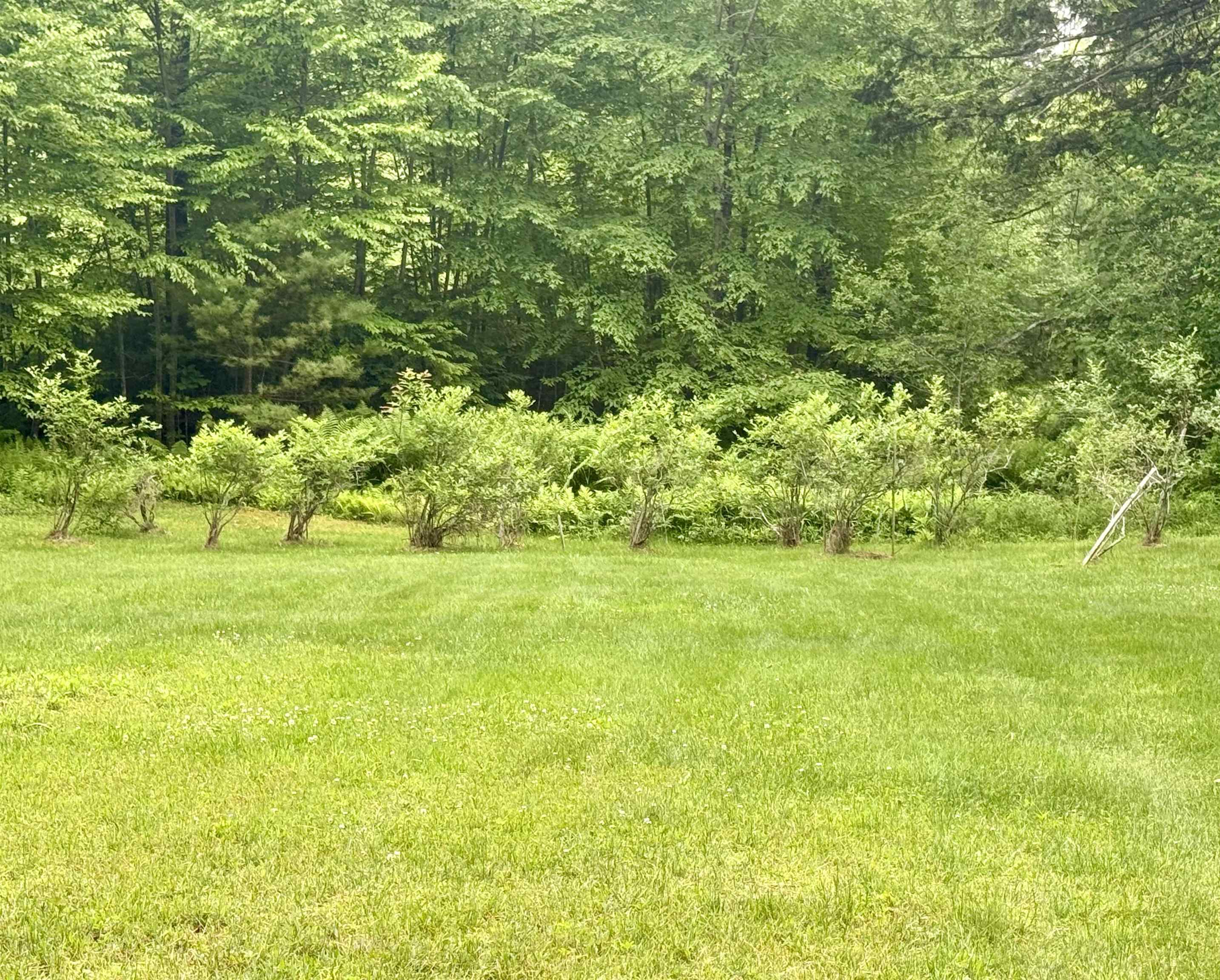 23 Boedtker Road Springfield, VT 05156 - Photo 11 of 39