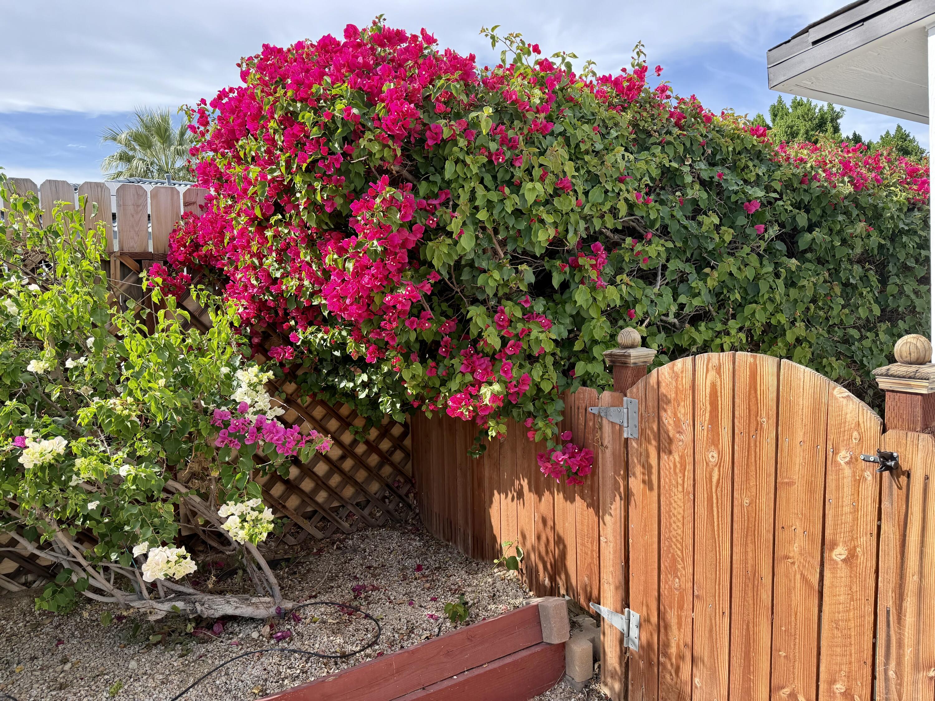 2765 North Cerritos Road Palm Springs, CA 92262 - Photo 7 of 8 IMG_0696