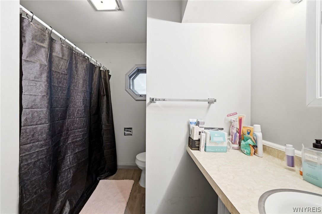 204 Prospect Avenue Ridgeway, NY 14103 - Photo 43 of 48