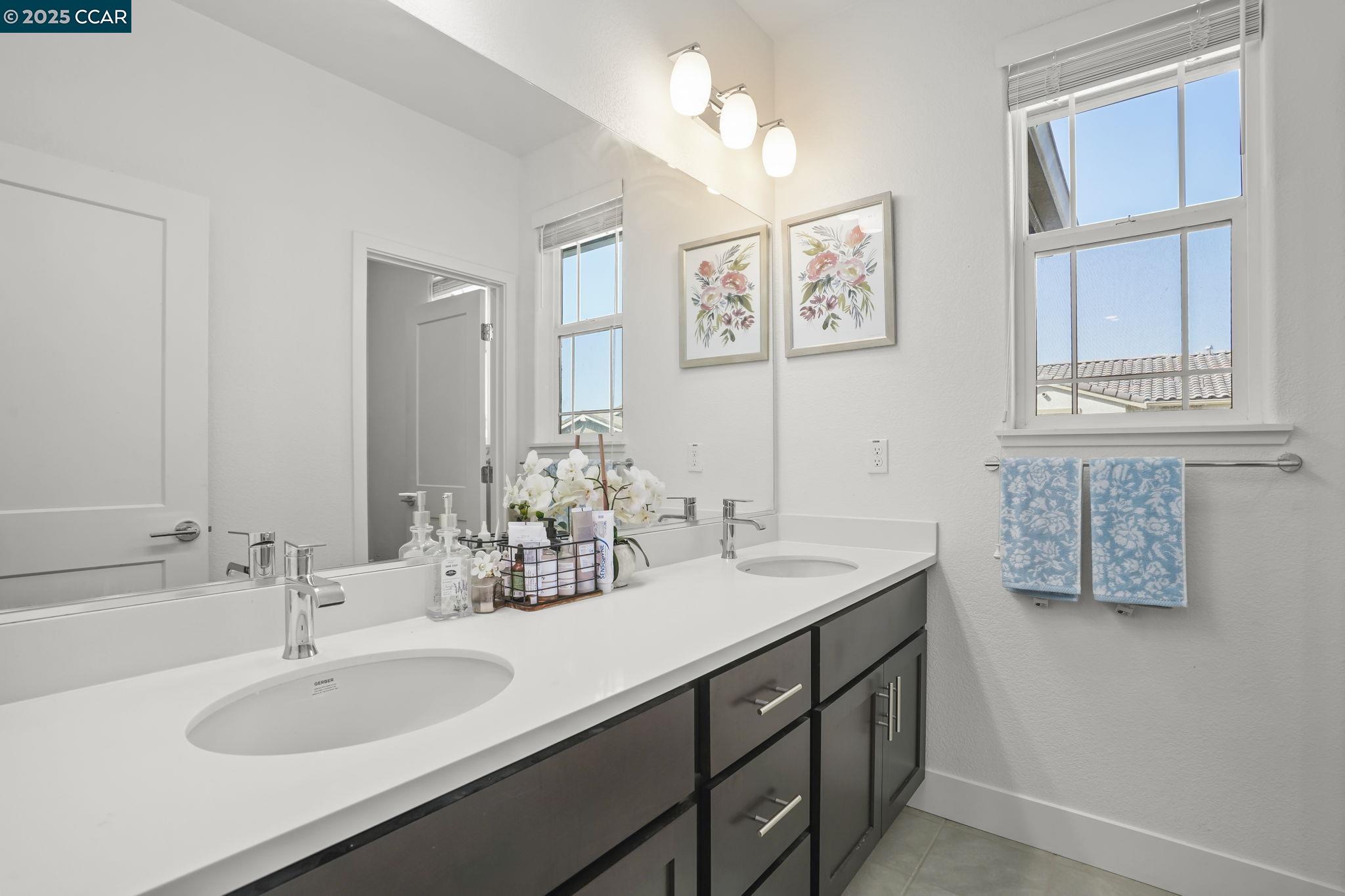 433 Ramos Ranch Road Oakley, CA 94561 - Photo 20 of 25 a bathroom with a sink and a mirror