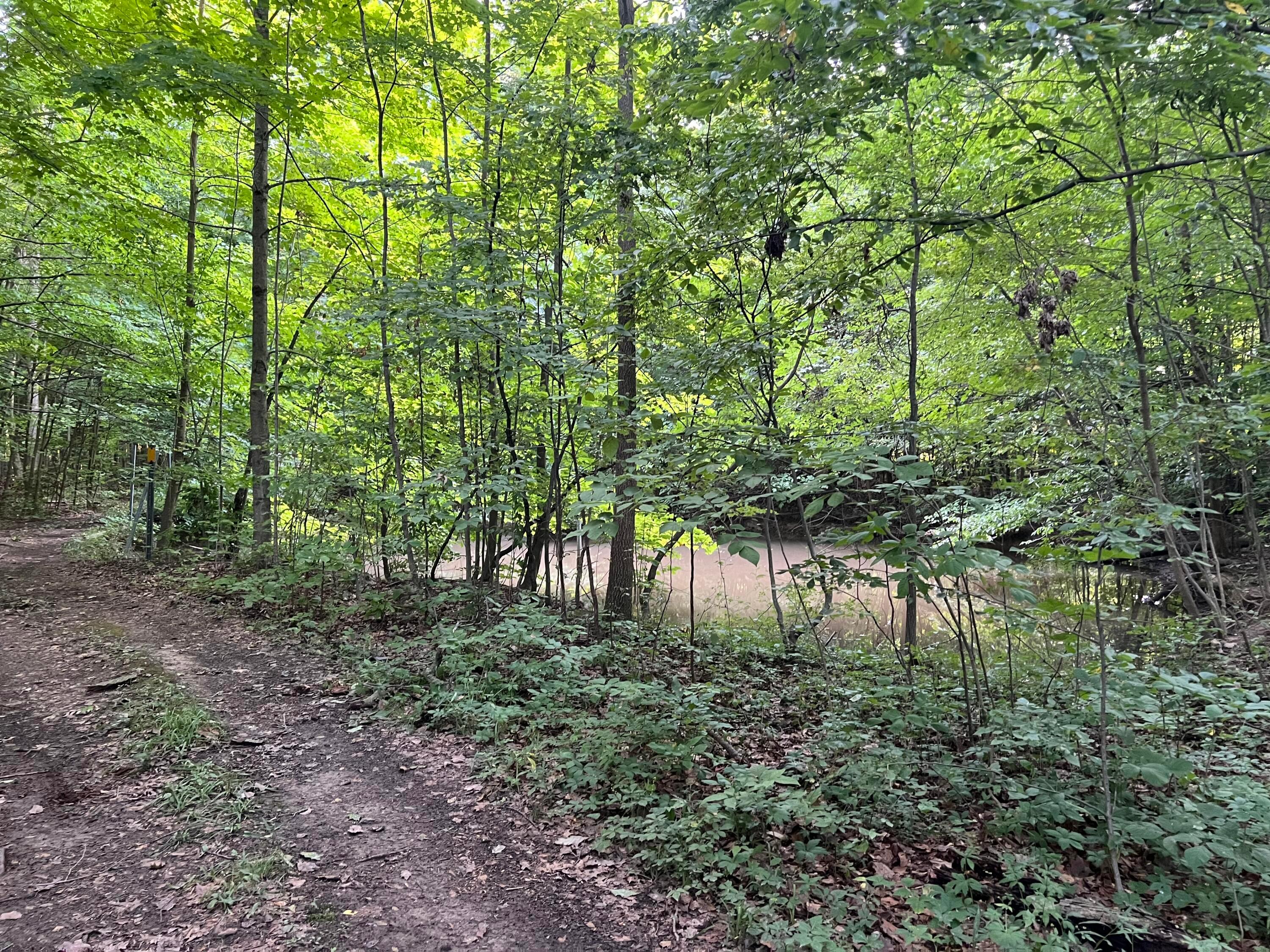 0 Norton Road Radnor, OH 43066 - Photo 21 of 35