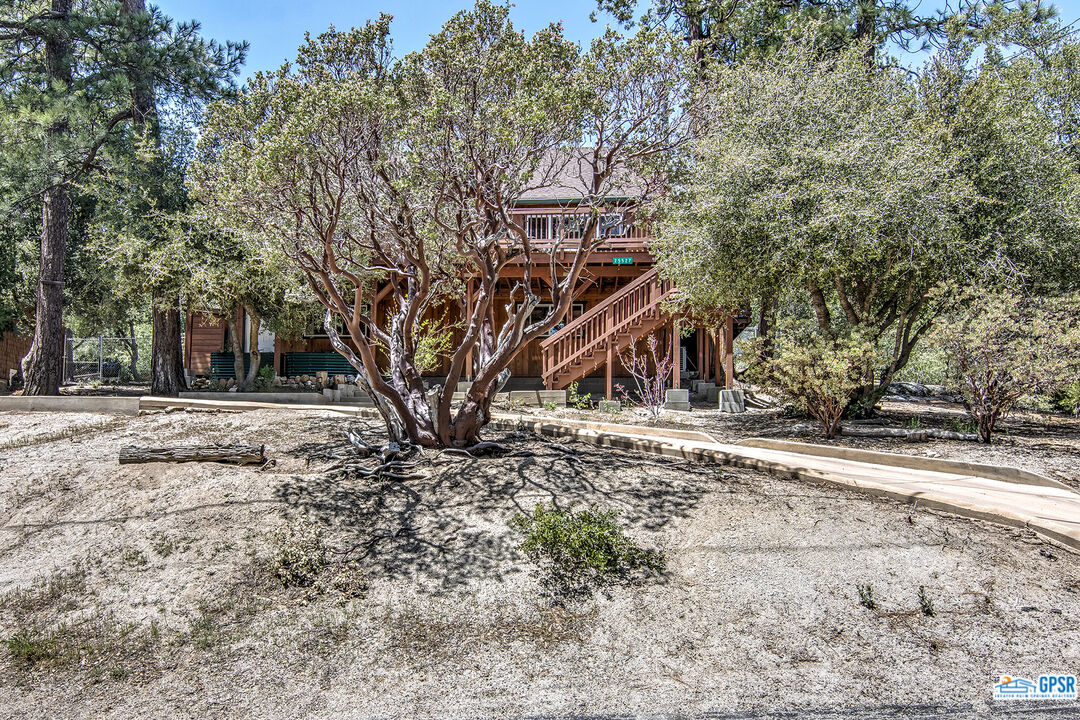 25527 Cedar Glen Drive Idyllwild, CA 92549 - Photo 39 of 69 a view of a backyard with a tree