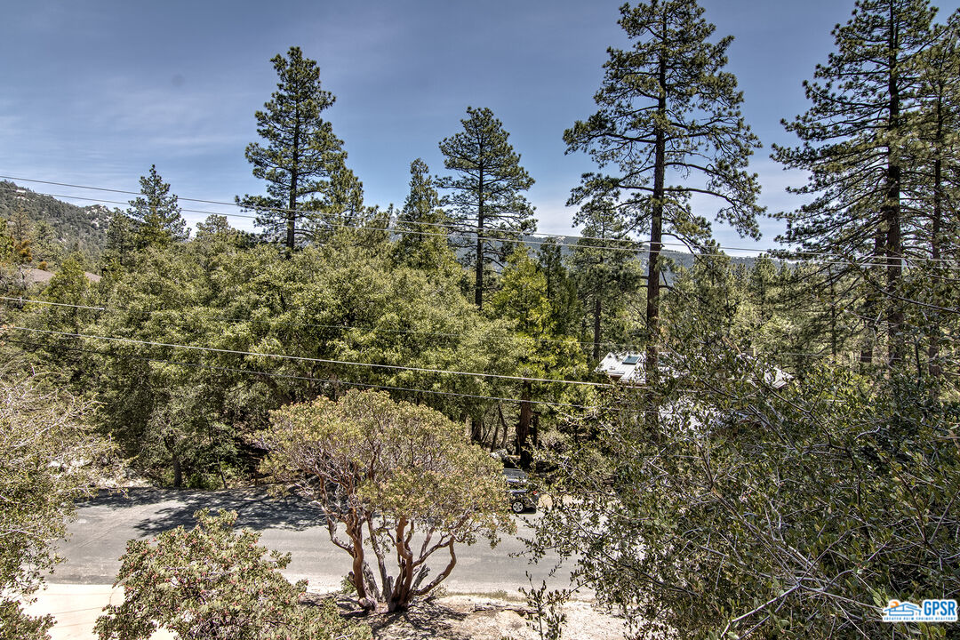 25527 Cedar Glen Drive Idyllwild, CA 92549 - Photo 44 of 69 a view of a tree in a yard