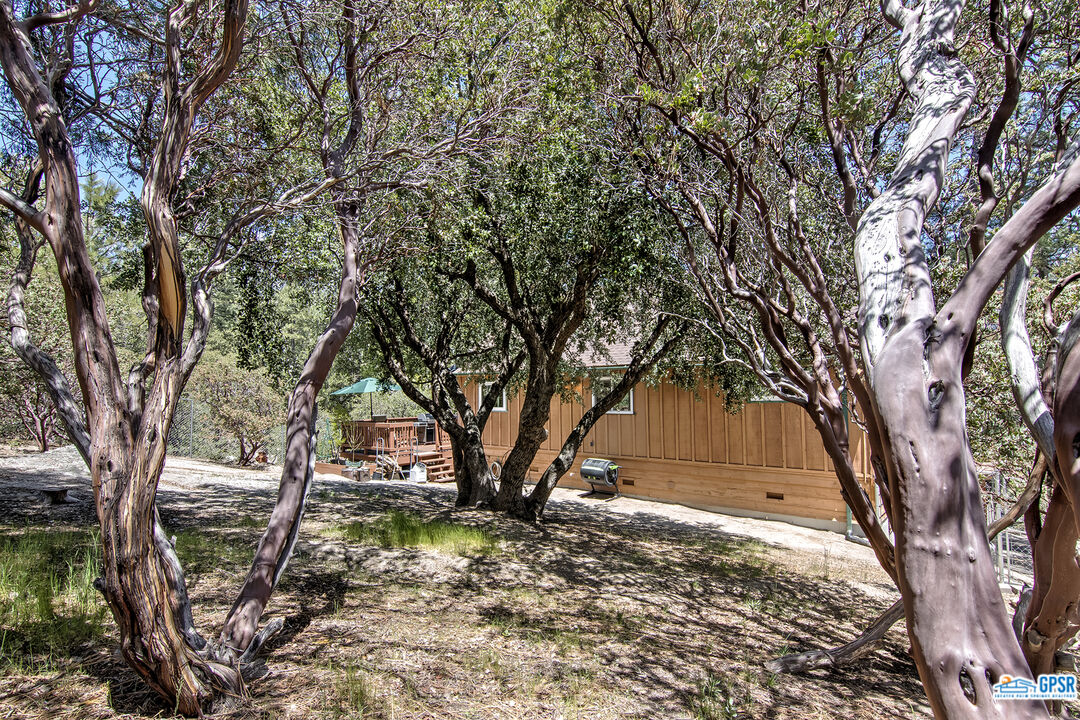25527 Cedar Glen Drive Idyllwild, CA 92549 - Photo 61 of 69