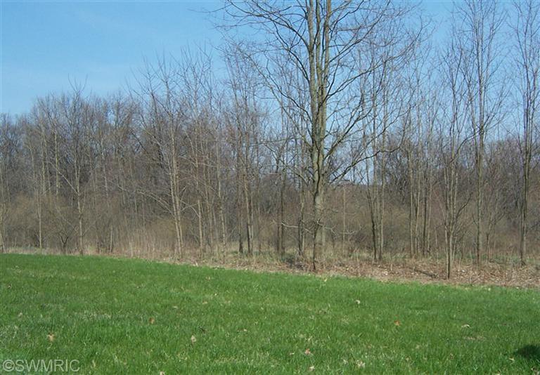 Marble Road Lowell, MI 49331 - Photo 1 of 1 Primary Photo