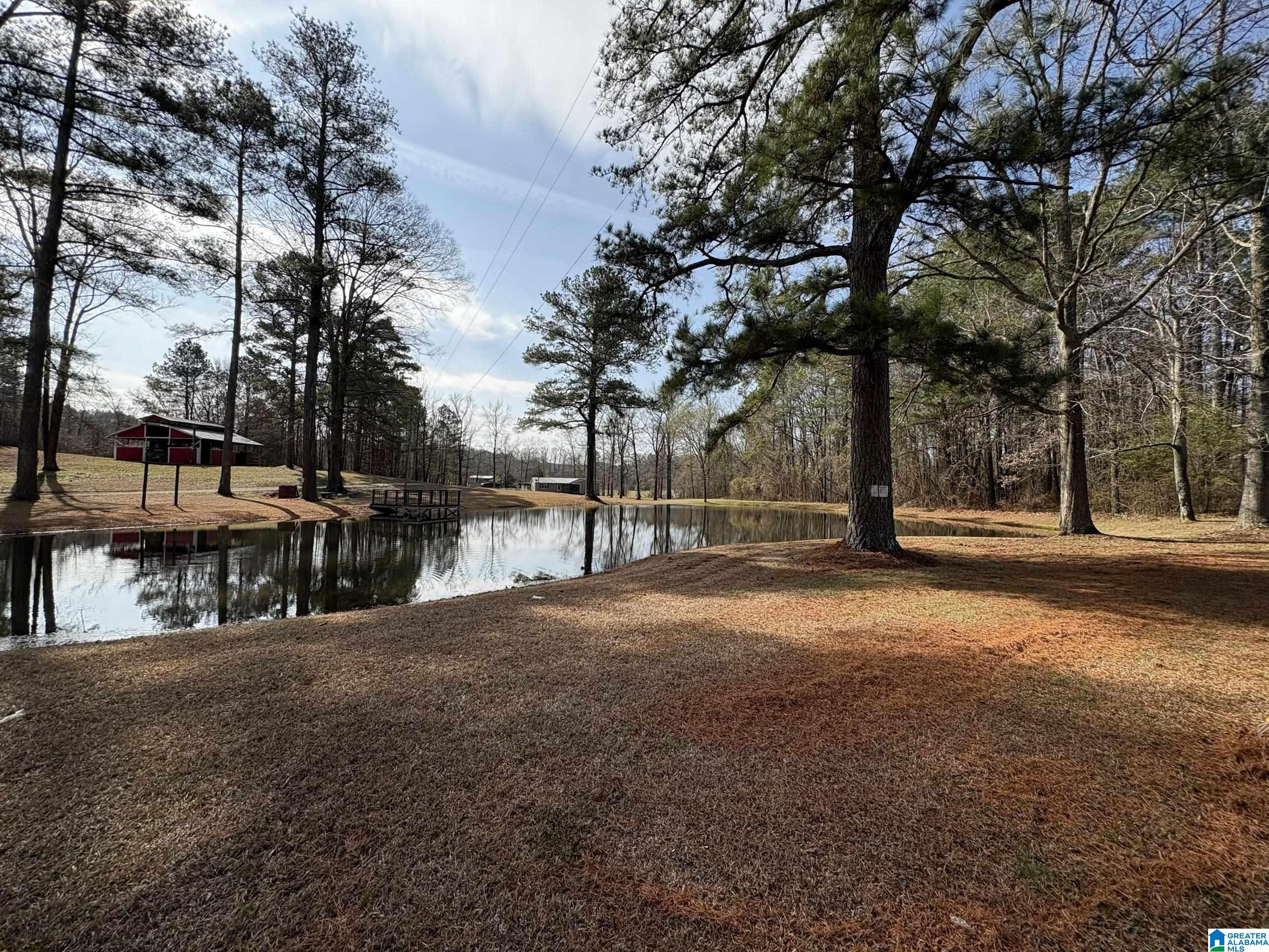 174 Mountain Road Ohatchee, AL 36271 - Photo 12 of 30