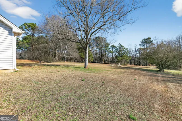 a view of yard with tree