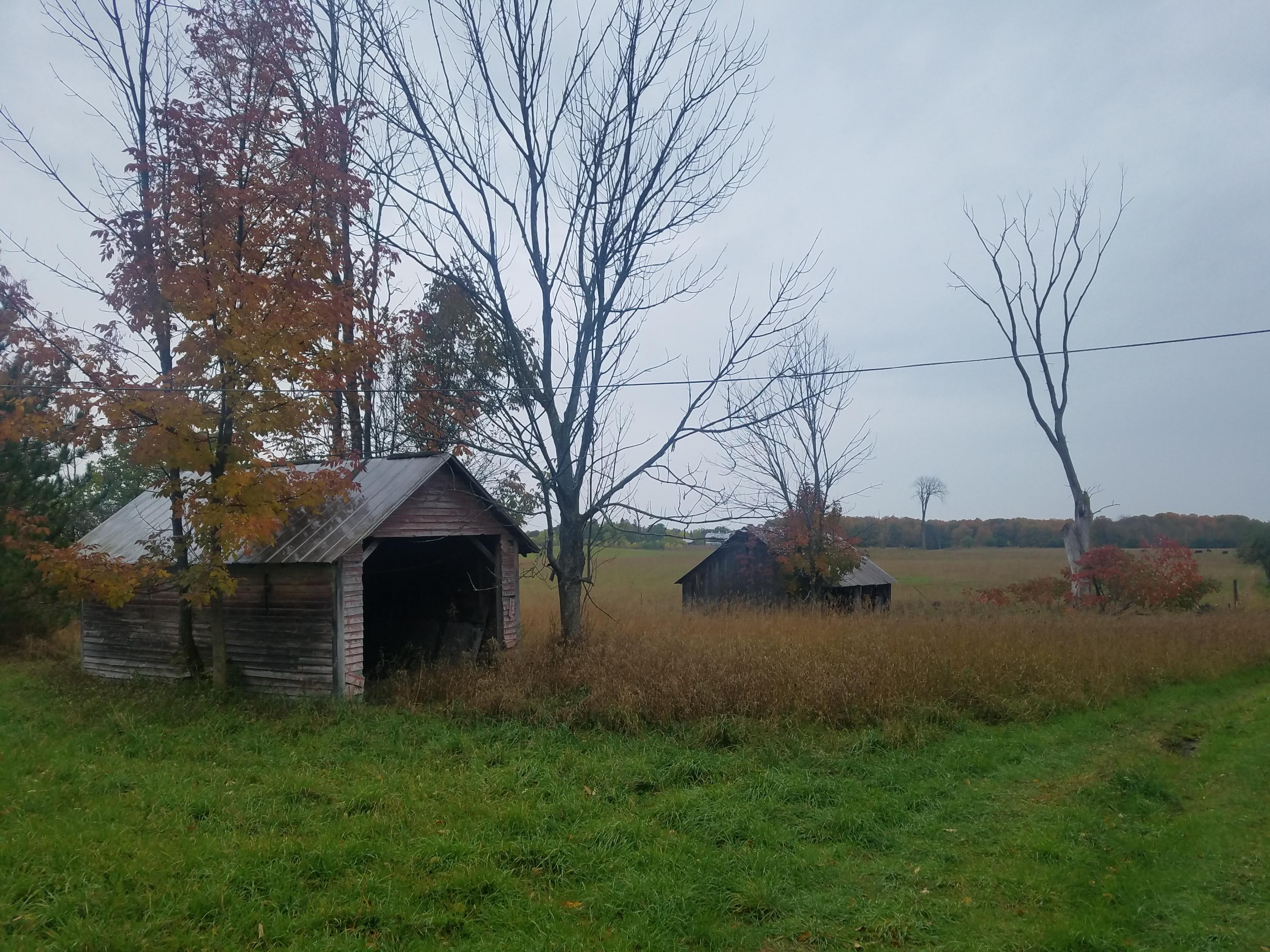 5131 Highway 33 Cheboygan, MI 49721 - Photo 4 of 21 Gallery Image 4