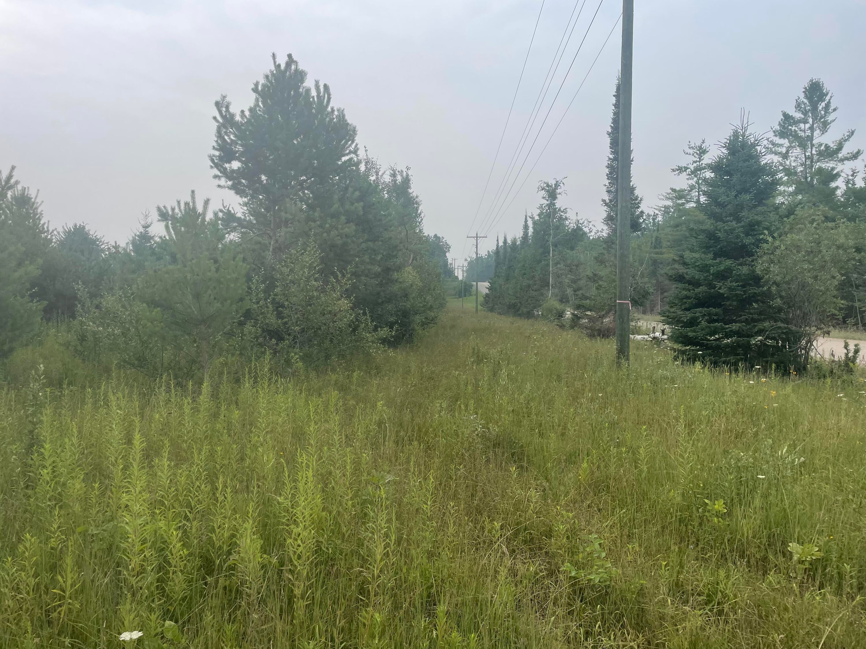 V/l V/l Reams Road Alanson, MI 49706 - Photo 2 of 25 along rd
