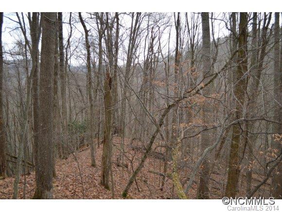305 Fox Road Mars Hill, NC 28754 - Photo 22 of 23 Gallery Image 22
