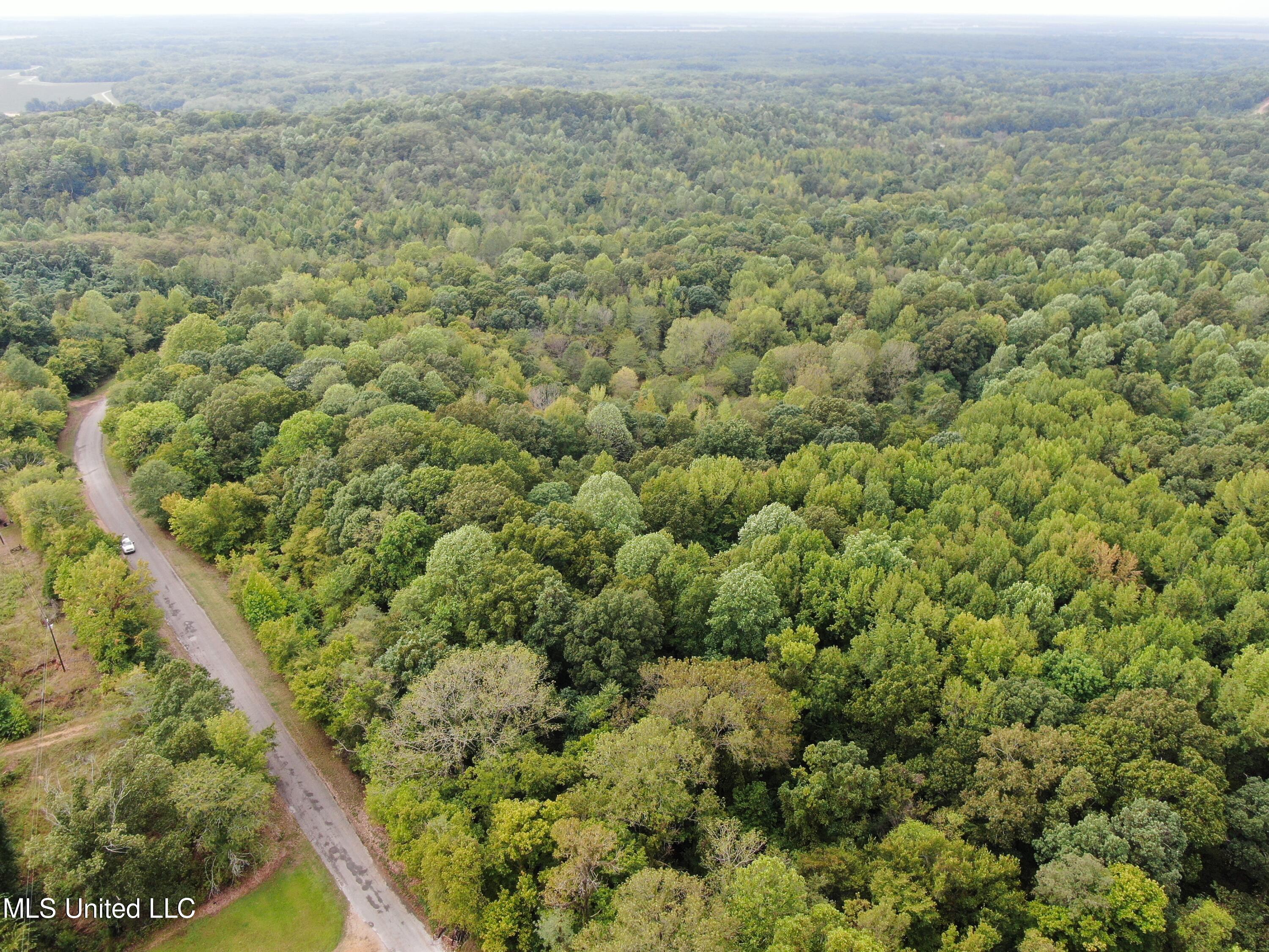 1200 Truslow Road Sarah, MS 38665 - Photo 1 of 18 land