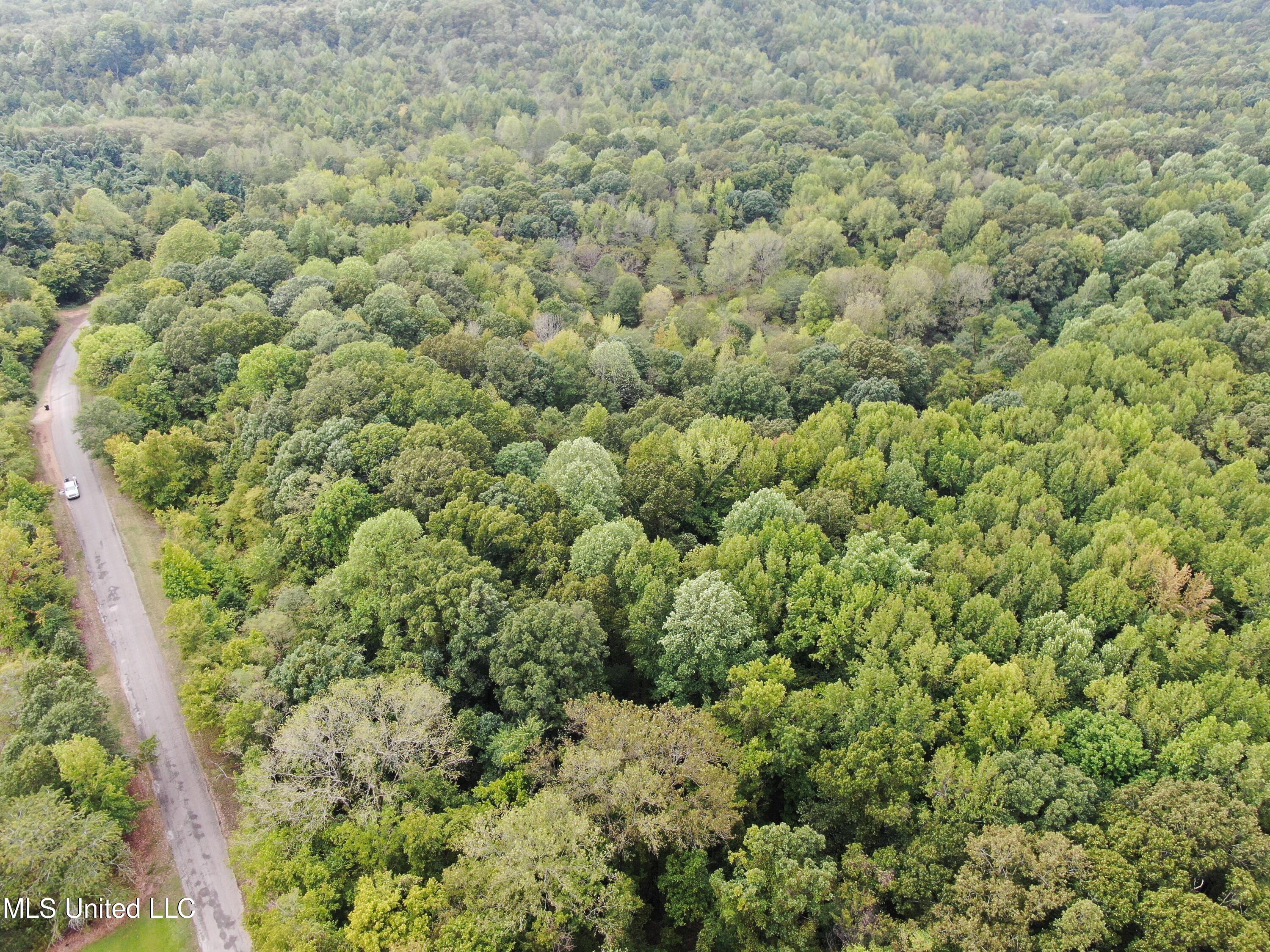 1200 Truslow Road Sarah, MS 38665 - Photo 3 of 18 DJI_0111