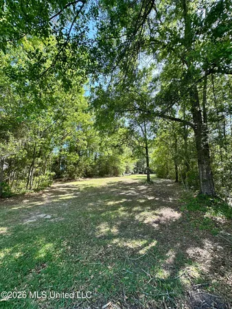 $34,900 | Dead River Road, Gautier, MS 39553
